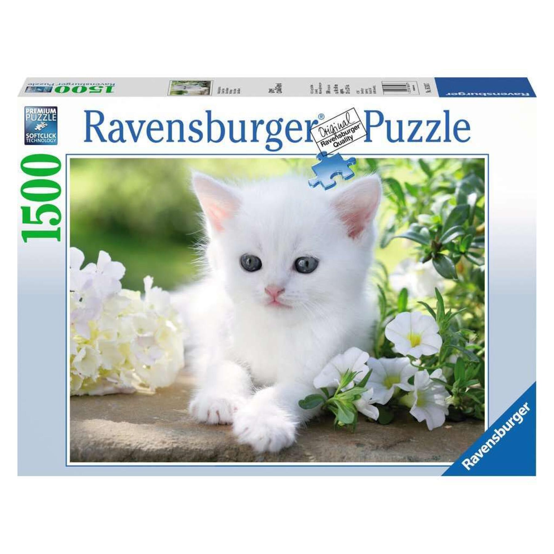 puzzle da 1500 pezzi gattino bianco Ravensburger