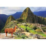 Puzzle da 1000 pezzi Educa Machu Picchu